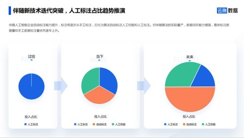 AI數(shù)據(jù)服務(wù) 去偽存真，打通智能駕駛?cè)珗鼍奥涞財(cái)?shù)據(jù)閉環(huán)